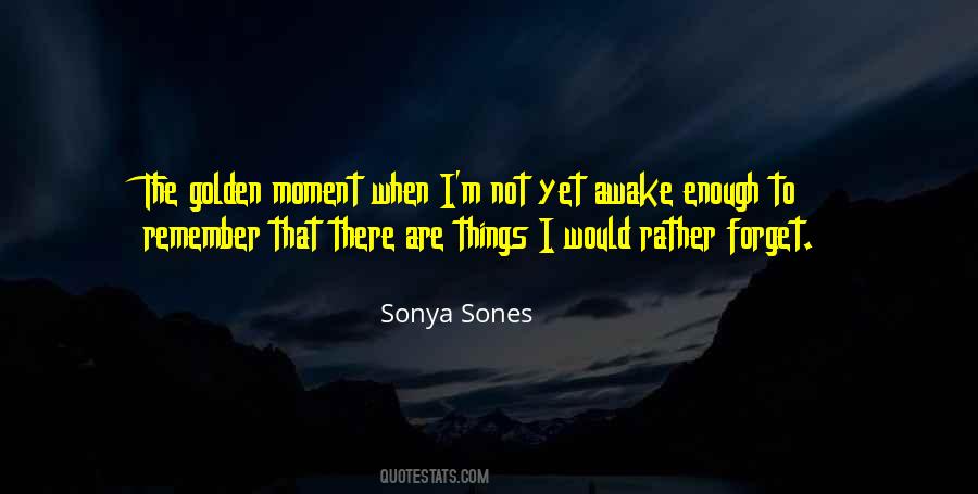 Sonya Sones Quotes #437016