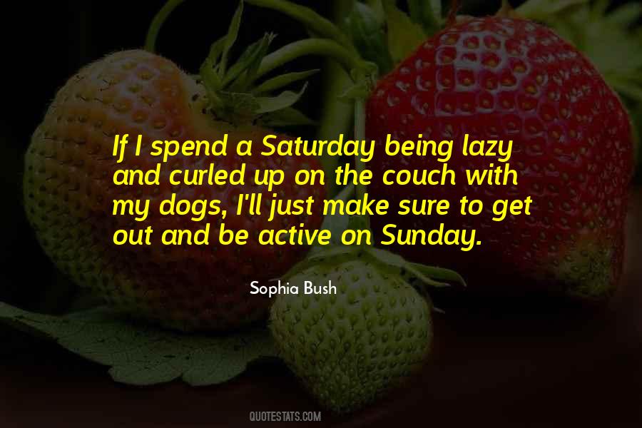 Sophia Bush Quotes #1042740