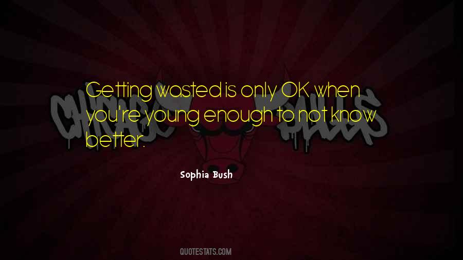 Sophia Bush Quotes #1311936