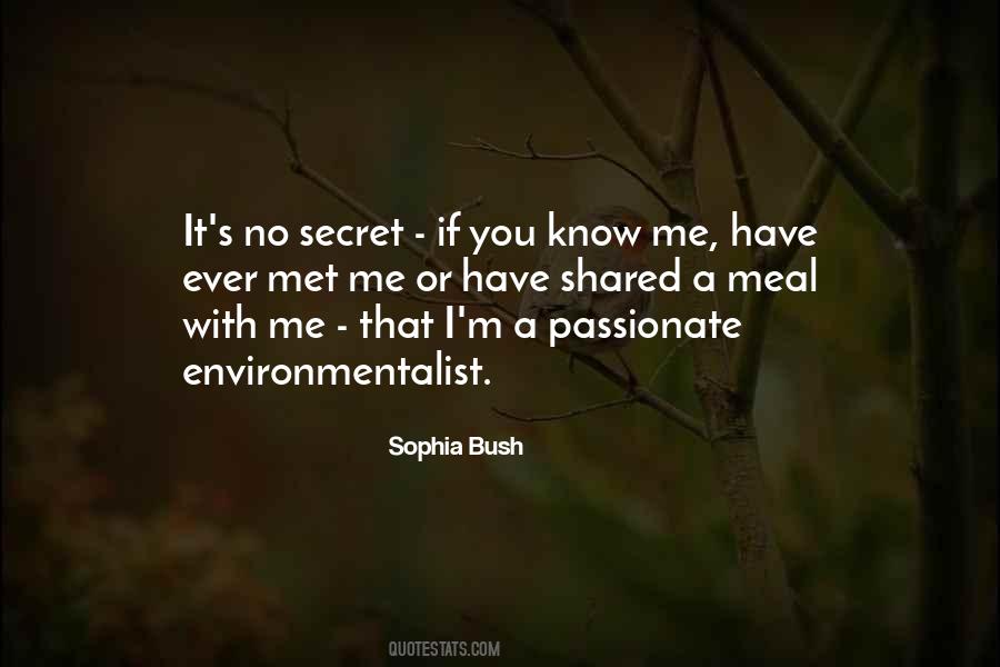 Sophia Bush Quotes #1517927