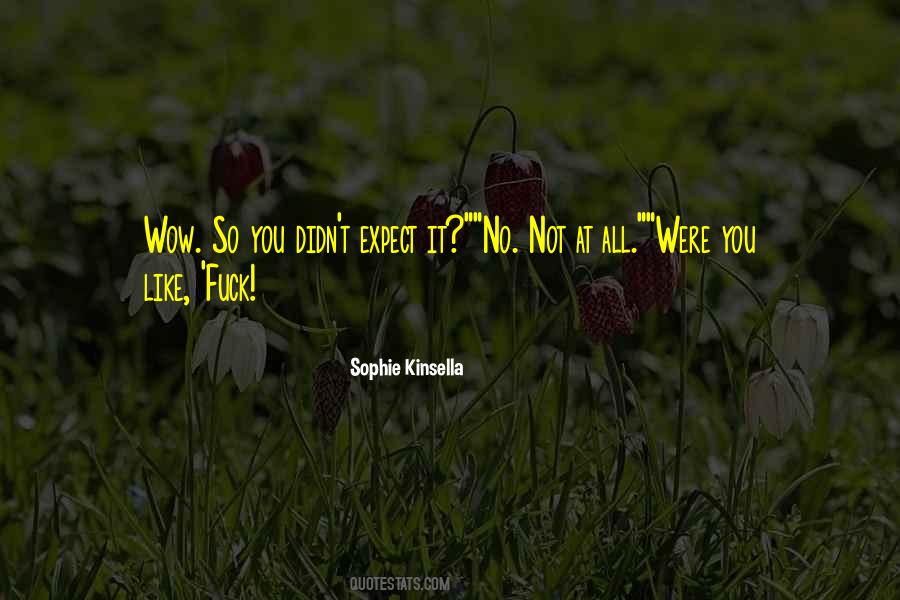 Sophie Kinsella Quotes #997296