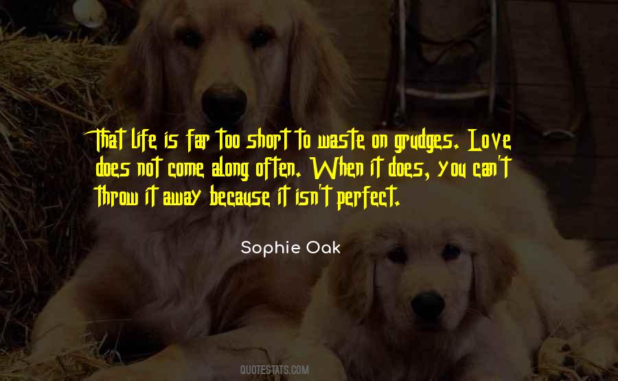 Sophie Oak Quotes #226557