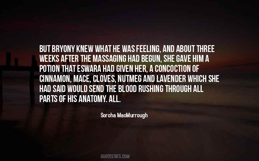 Sorcha MacMurrough Quotes #1477863