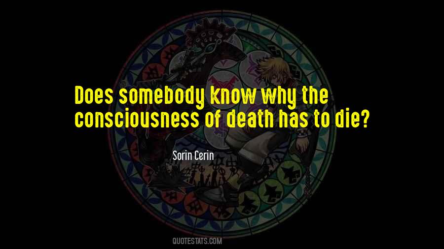 Sorin Cerin Quotes #1053318