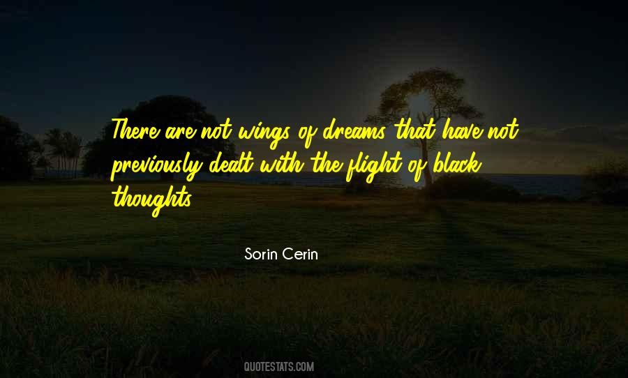 Sorin Cerin Quotes #1107274