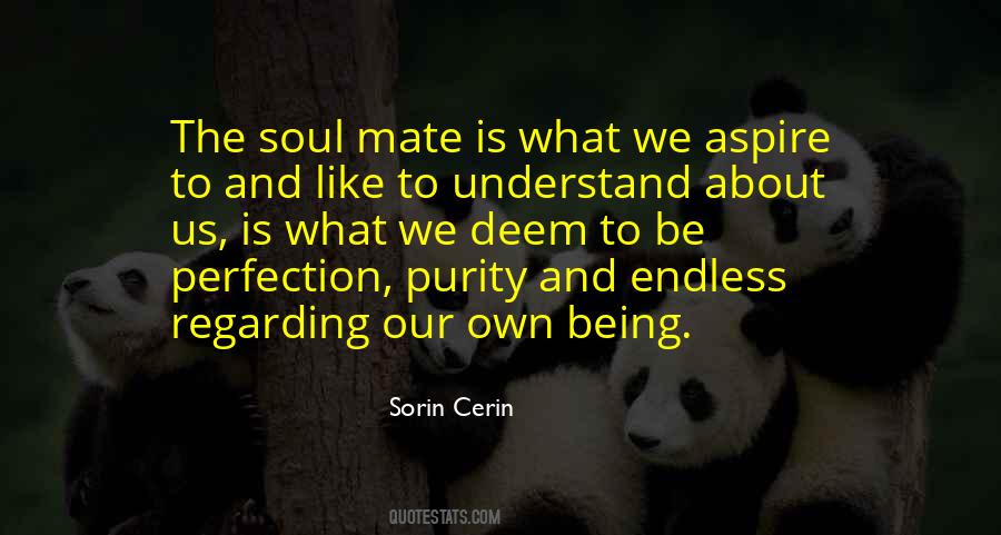 Sorin Cerin Quotes #1169080