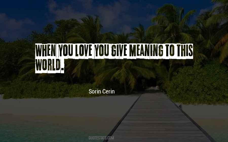 Sorin Cerin Quotes #1492815