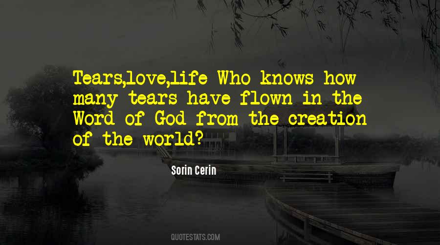 Sorin Cerin Quotes #1500440