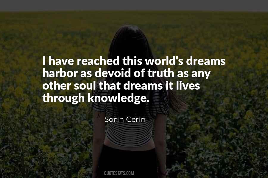 Sorin Cerin Quotes #1594301