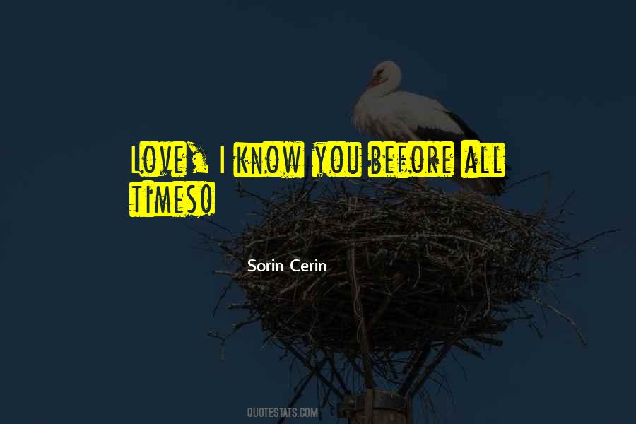 Sorin Cerin Quotes #1713134