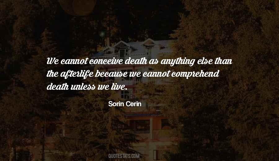 Sorin Cerin Quotes #1764571