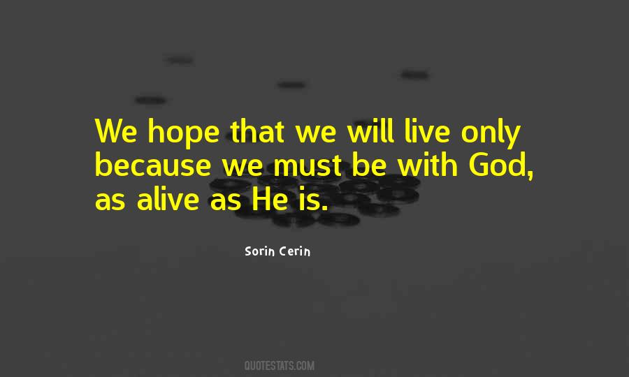 Sorin Cerin Quotes #343286