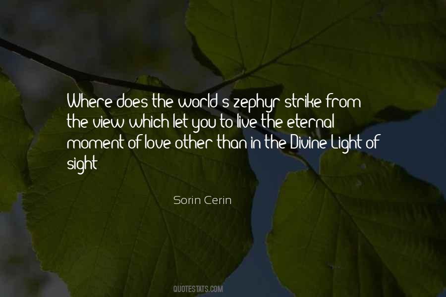 Sorin Cerin Quotes #696859