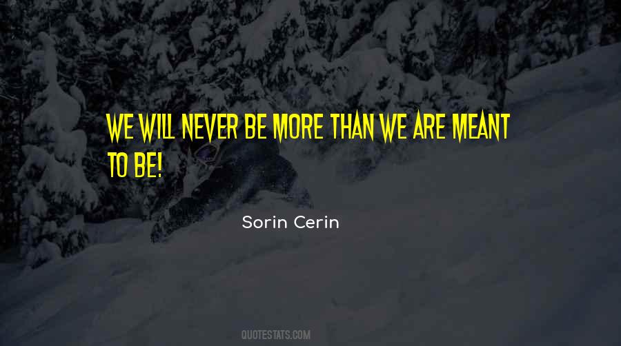 Sorin Cerin Quotes #91272