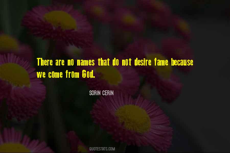 Sorin Cerin Quotes #943836