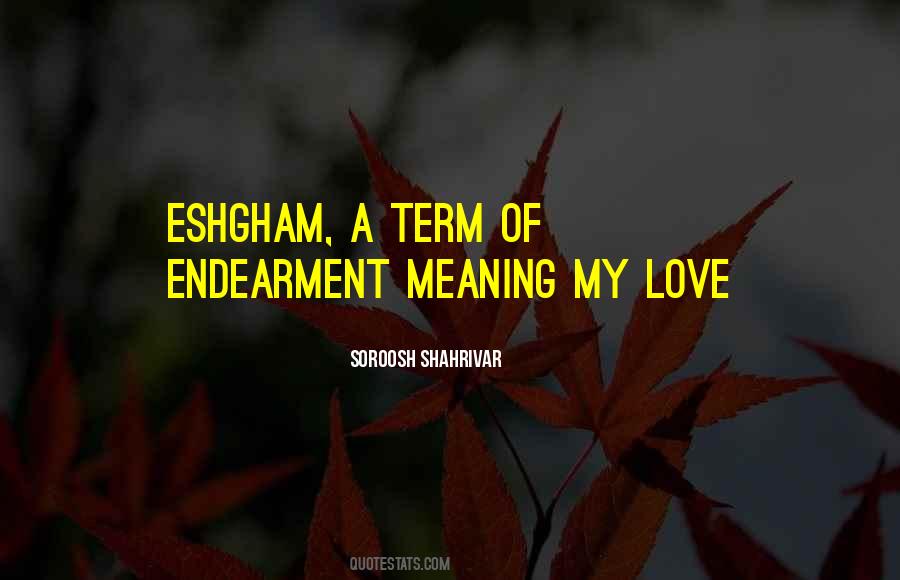 Soroosh Shahrivar Quotes #291950