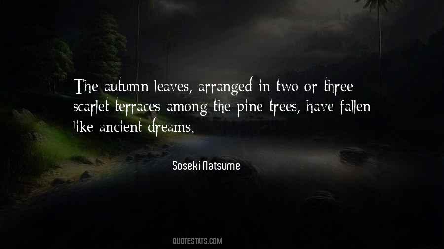 Soseki Natsume Quotes #650922