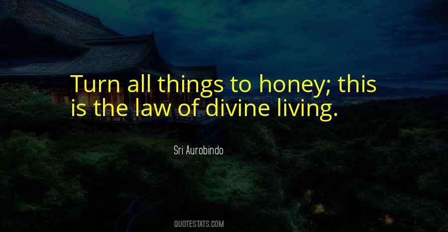 Sri Aurobindo Quotes #652823