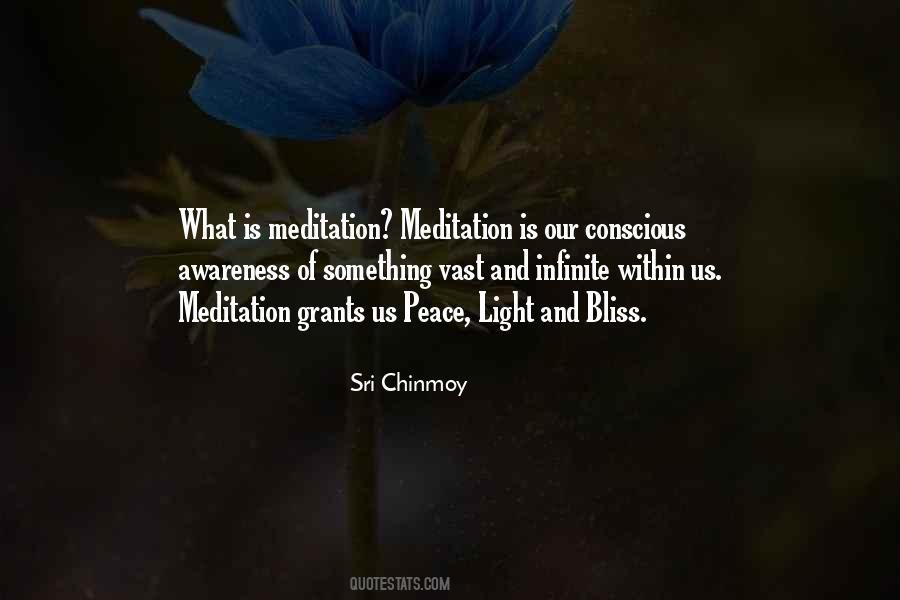 Sri Chinmoy Quotes #11729