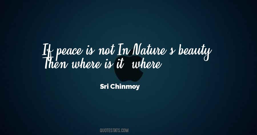 Sri Chinmoy Quotes #1760773