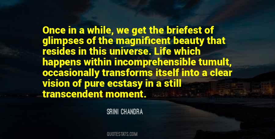 Srini Chandra Quotes #909241