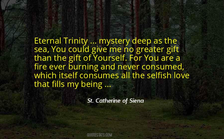 St. Catherine Of Siena Quotes #154070