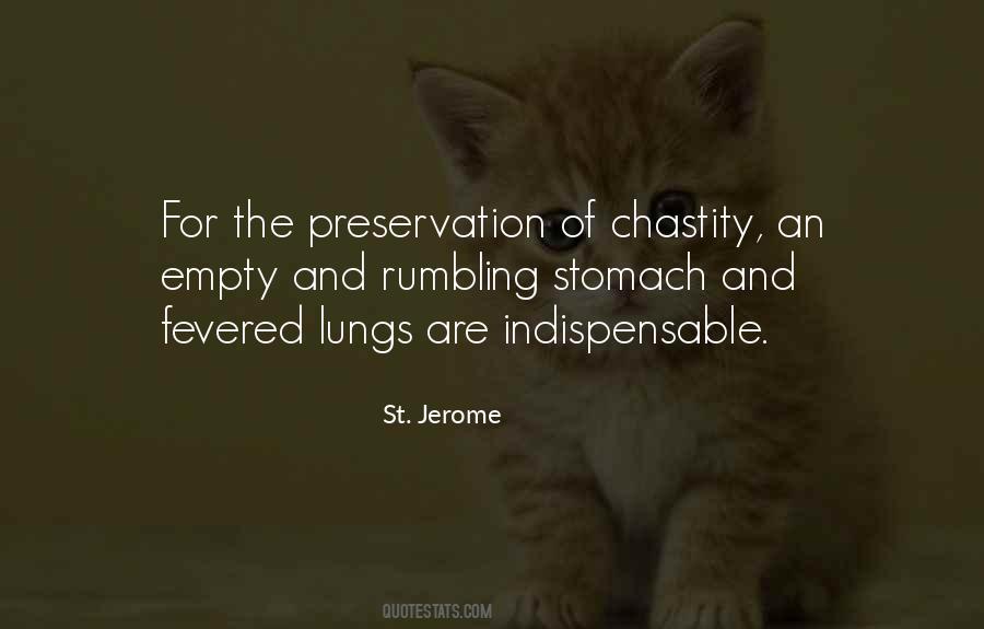 St. Jerome Quotes #768606