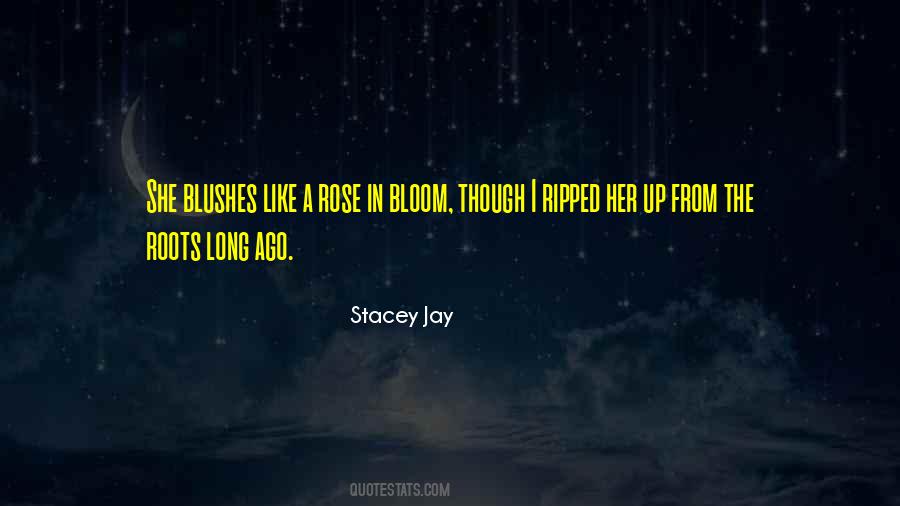 Stacey Jay Quotes #1363503
