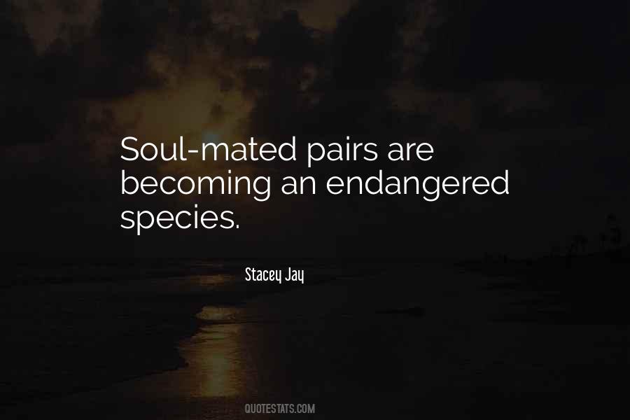 Stacey Jay Quotes #1831402