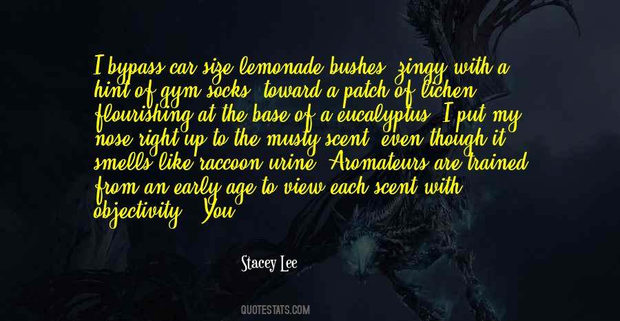 Stacey Lee Quotes #1474628