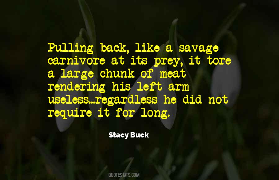 Stacy Buck Quotes #1656490