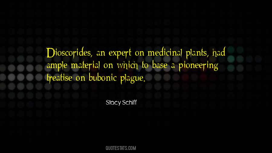 Stacy Schiff Quotes #1363002