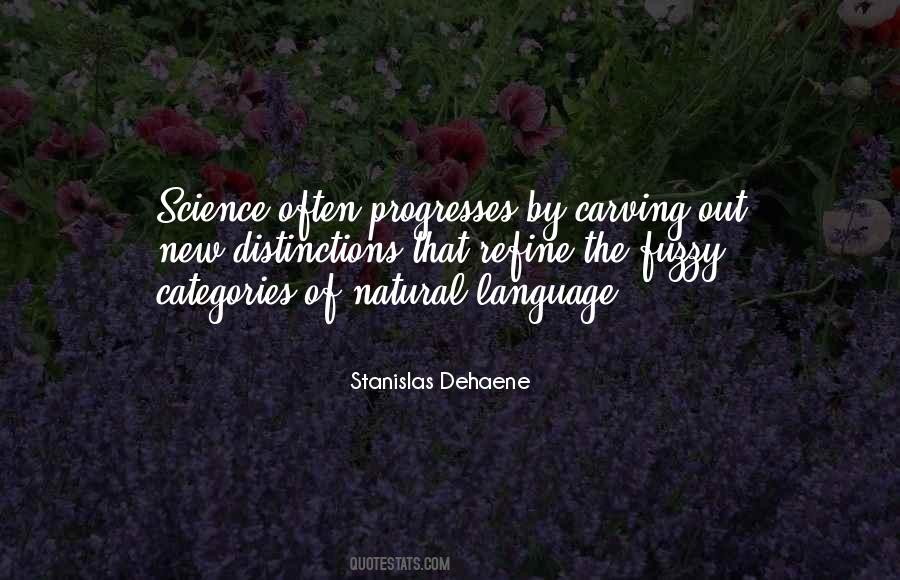 Stanislas Dehaene Quotes #1584027