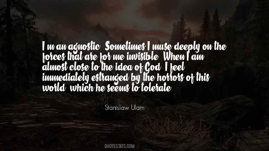 Stanislaw Ulam Quotes #1091479
