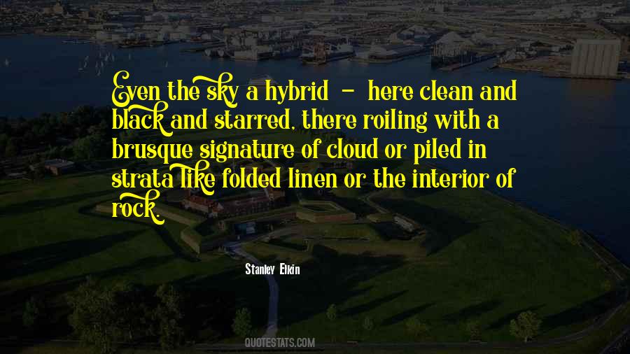 Stanley Elkin Quotes #1830222 Stanley Elkin Quotes #1830222