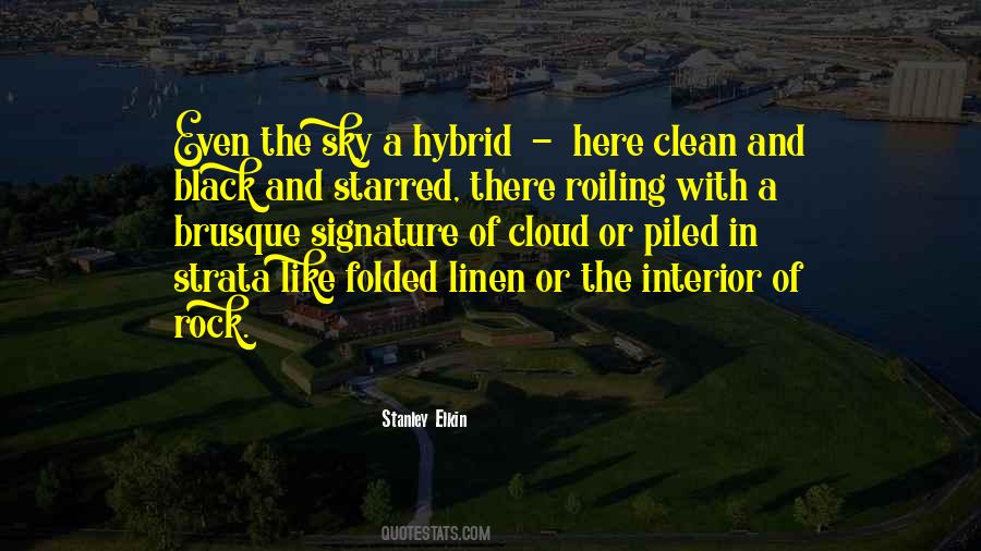 Stanley Elkin Quotes #1830222