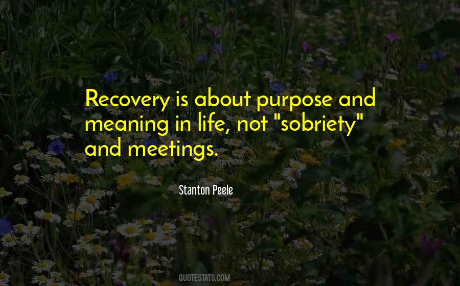 Stanton Peele Quotes #31847