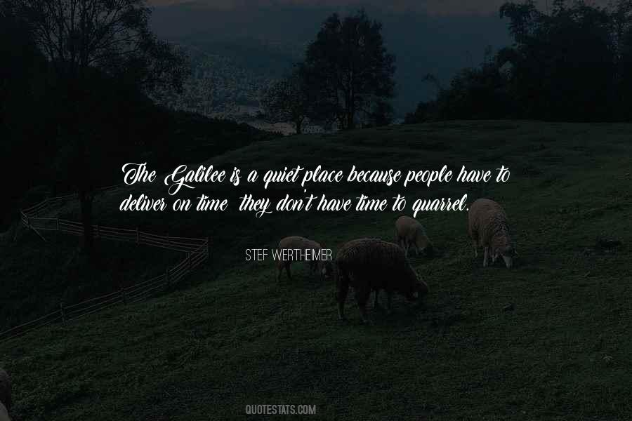 Stef Wertheimer Quotes #552291