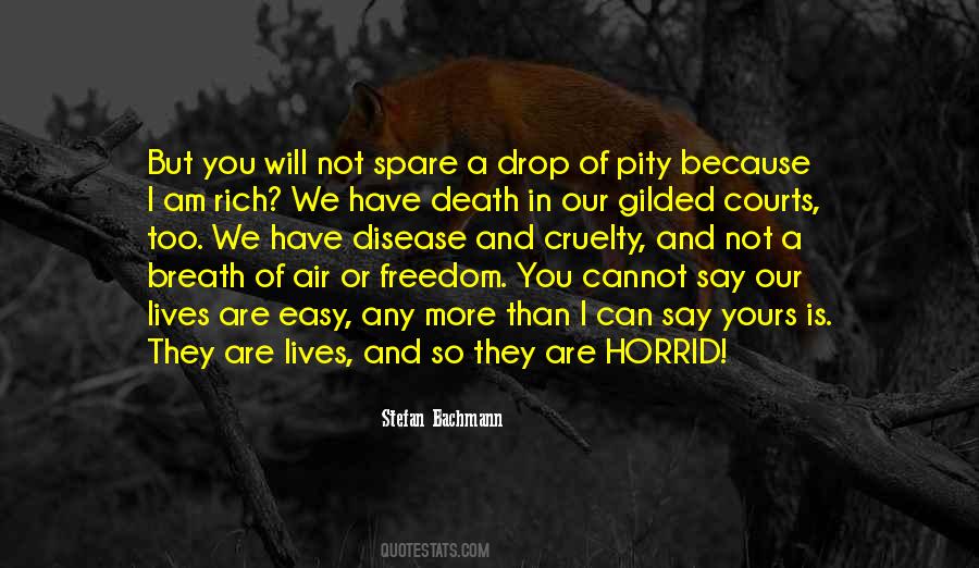 Stefan Bachmann Quotes #1101570