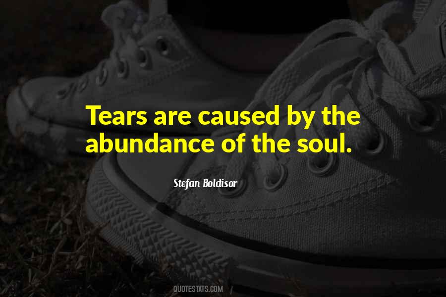 Stefan Boldisor Quotes #600261 Stefan Boldisor Quotes #600261