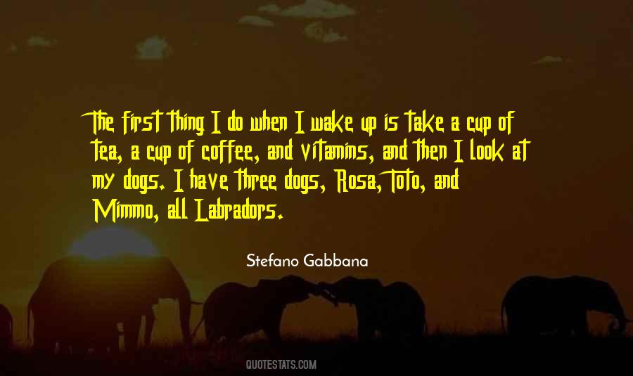 Stefano Gabbana Quotes #1459857