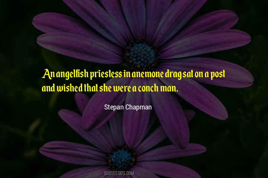 Stepan Chapman Quotes #924594