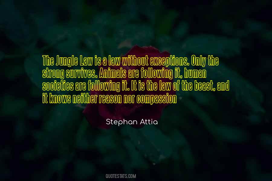 Stephan Attia Quotes #1772299