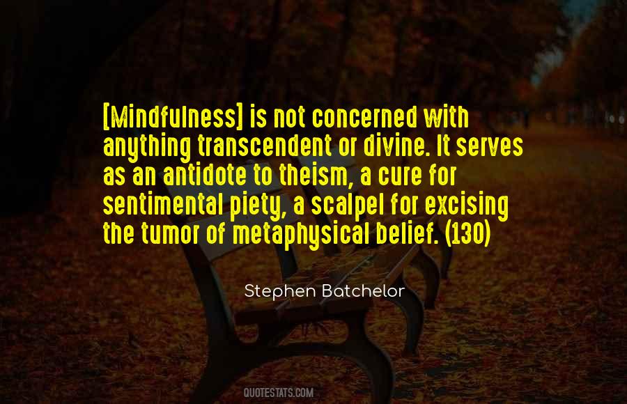 Stephen Batchelor Quotes #1639745