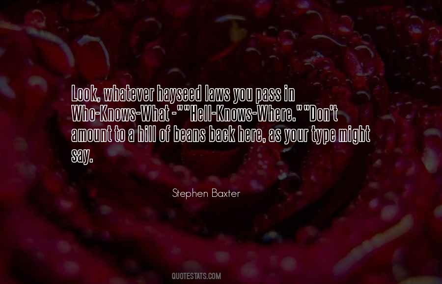 Stephen Baxter Quotes #946329