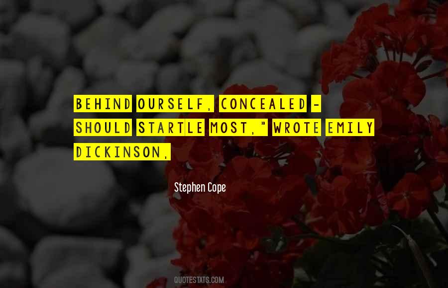 Stephen Cope Quotes #158914