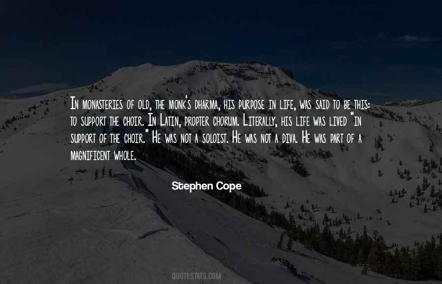 Stephen Cope Quotes #1728037