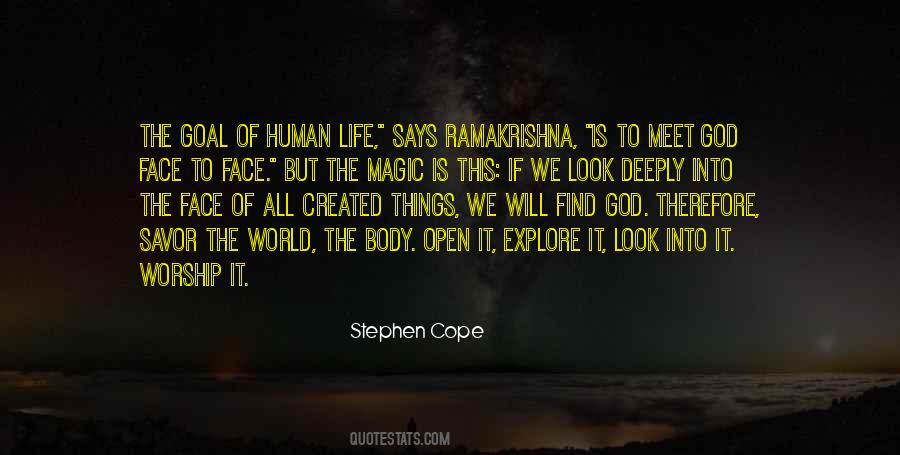 Stephen Cope Quotes #803064