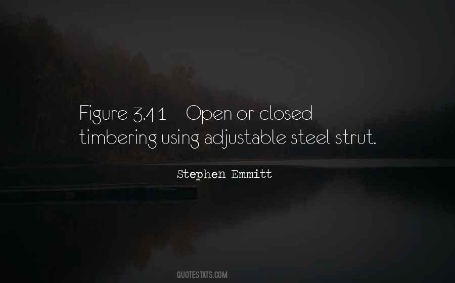 Stephen Emmitt Quotes #219595
