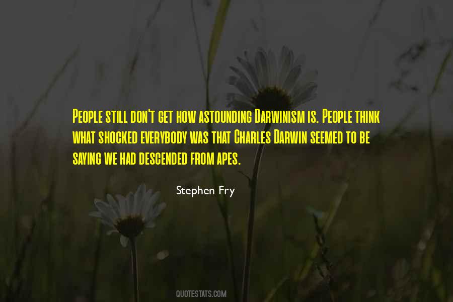 Stephen Fry Quotes #1012572